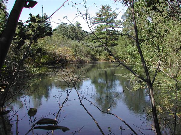 Lot 3 Chapin Road Holden, MA 01520 - Photo 4 of 6 Gallery Image 4