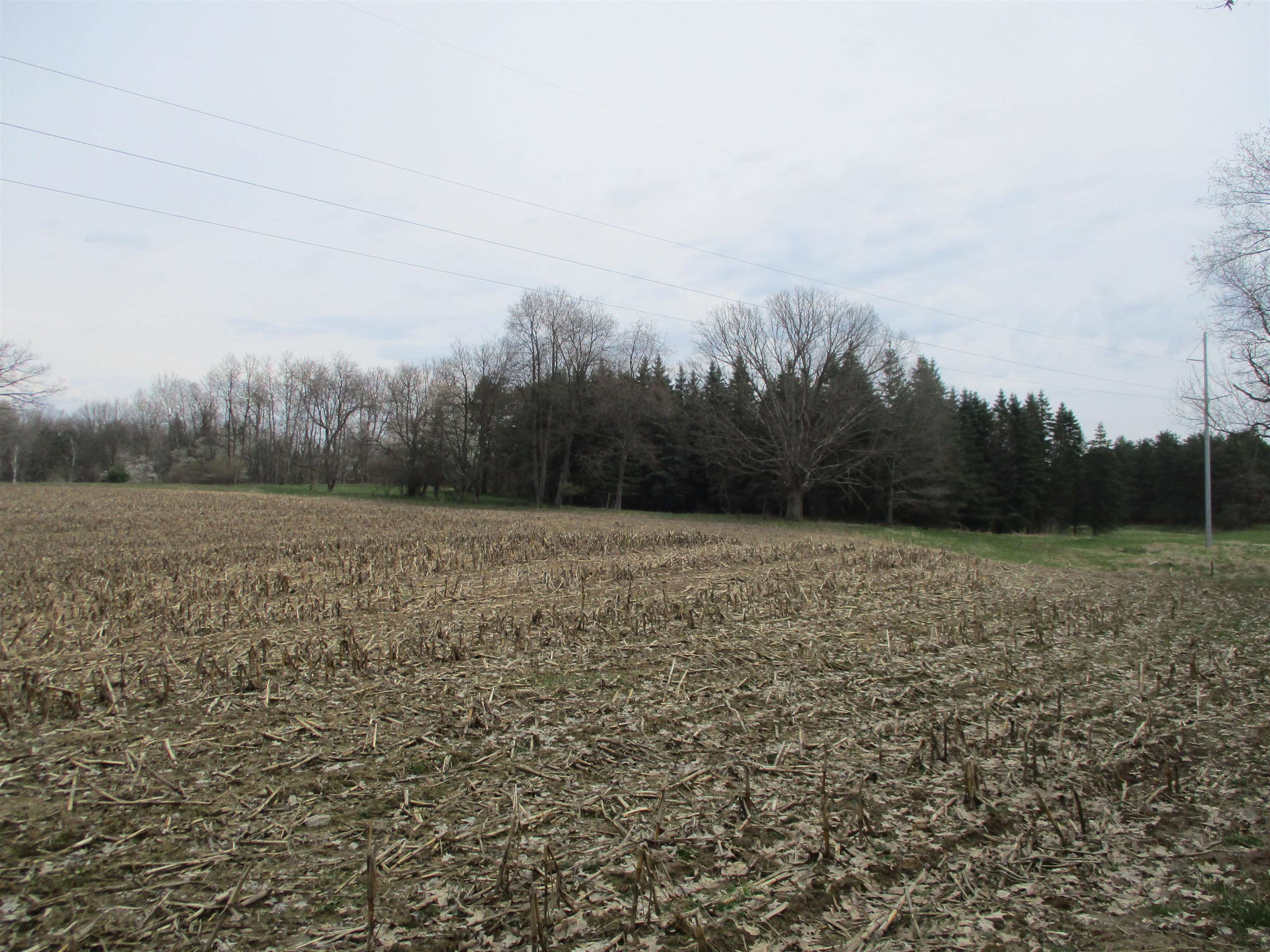 0 Peterson Road Prescott, MI 48756 - Photo 14 of 17 1921450-c642054b-10df-4825-b449-8ba0e721bc3c.JPG