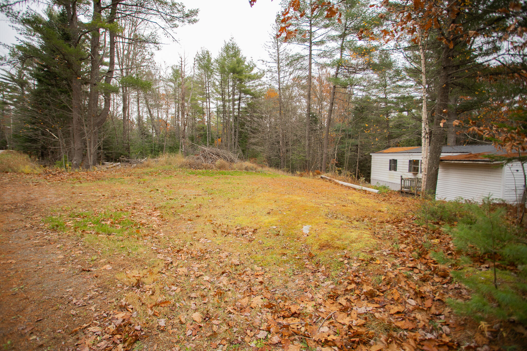 119 Mill Creek Road Orrington, ME 04474 - Photo 24 of 29 IMG_0729
