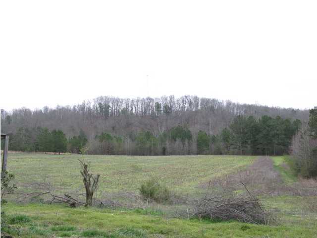523 Oakton Road LaFayette, GA 30728 - Photo 2 of 2 Additional Photo
