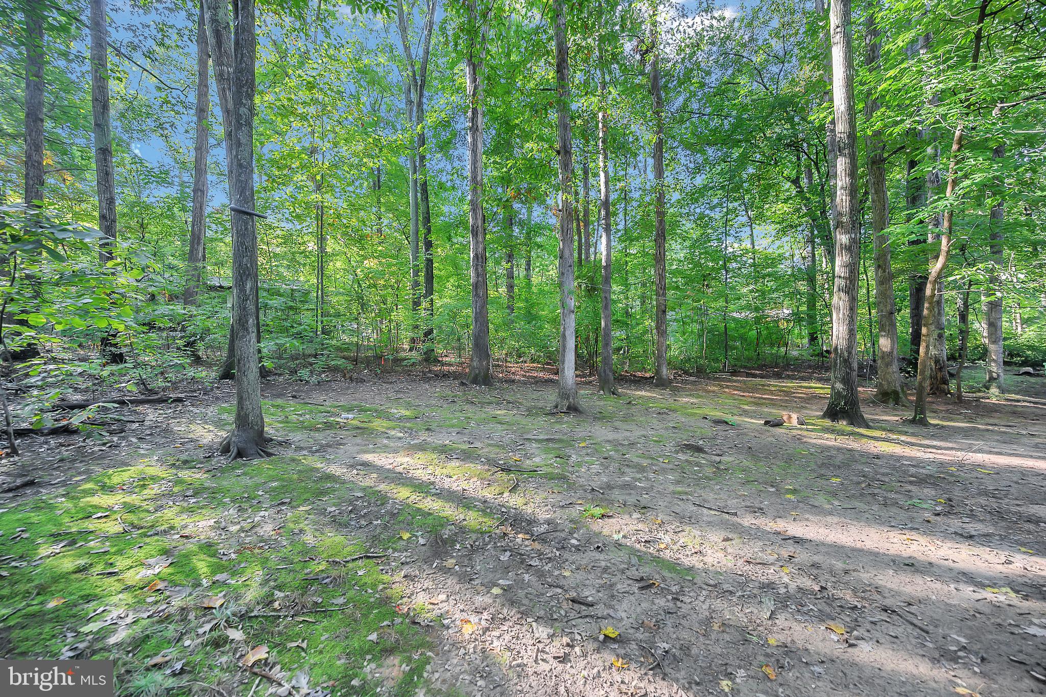 107 Federal Road Locust Grove, VA 22508 - Photo 23 of 33 You will love the serenity of the private yard