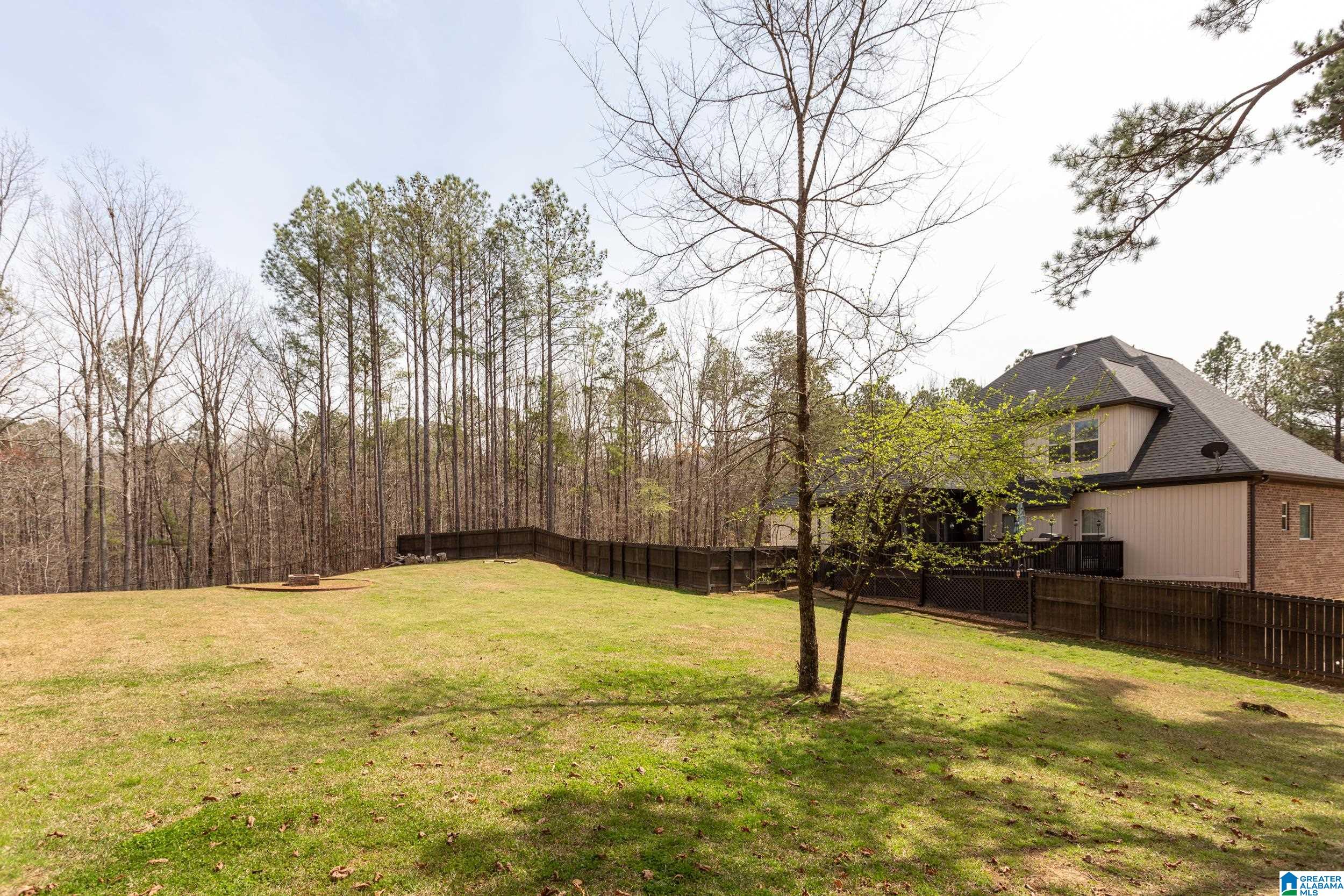 956 Blue Ridge Way Odenville, AL 35120 - Photo 49 of 62