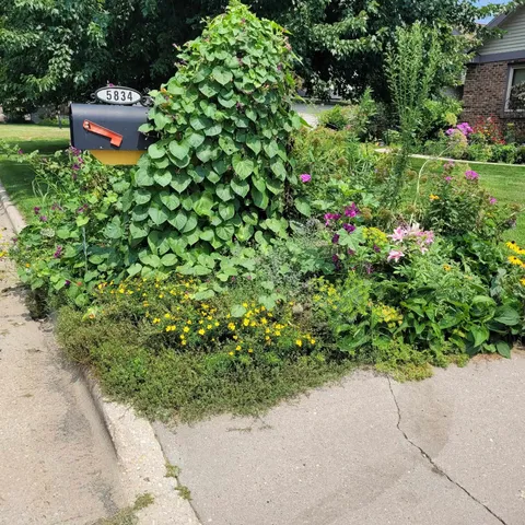 $799,900 | 5834 Persimmon Drive, Fitchburg, WI 53711