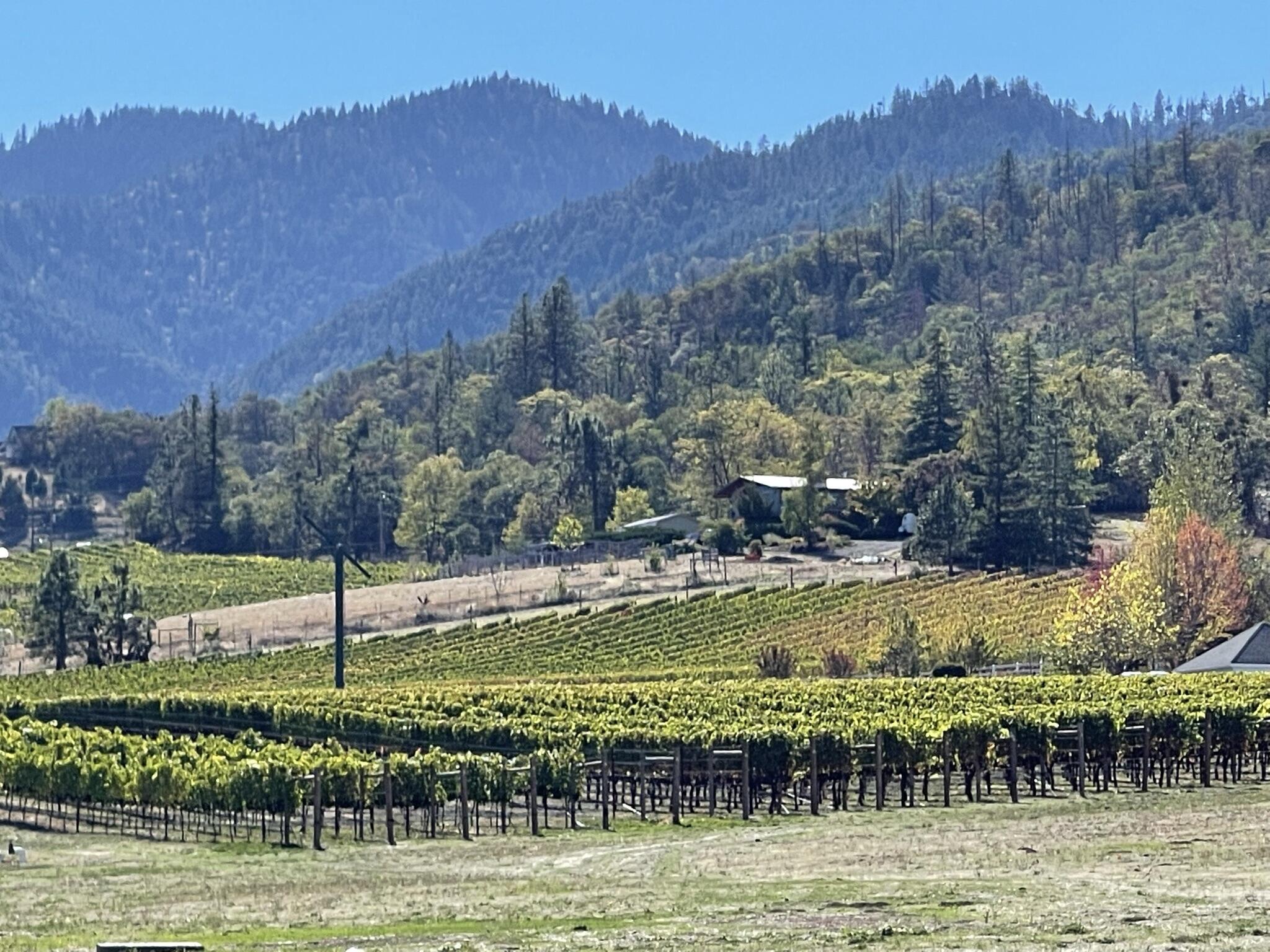981 Anderson Creek Road Talent, OR 97540 - Photo 2 of 63 IMG_3907