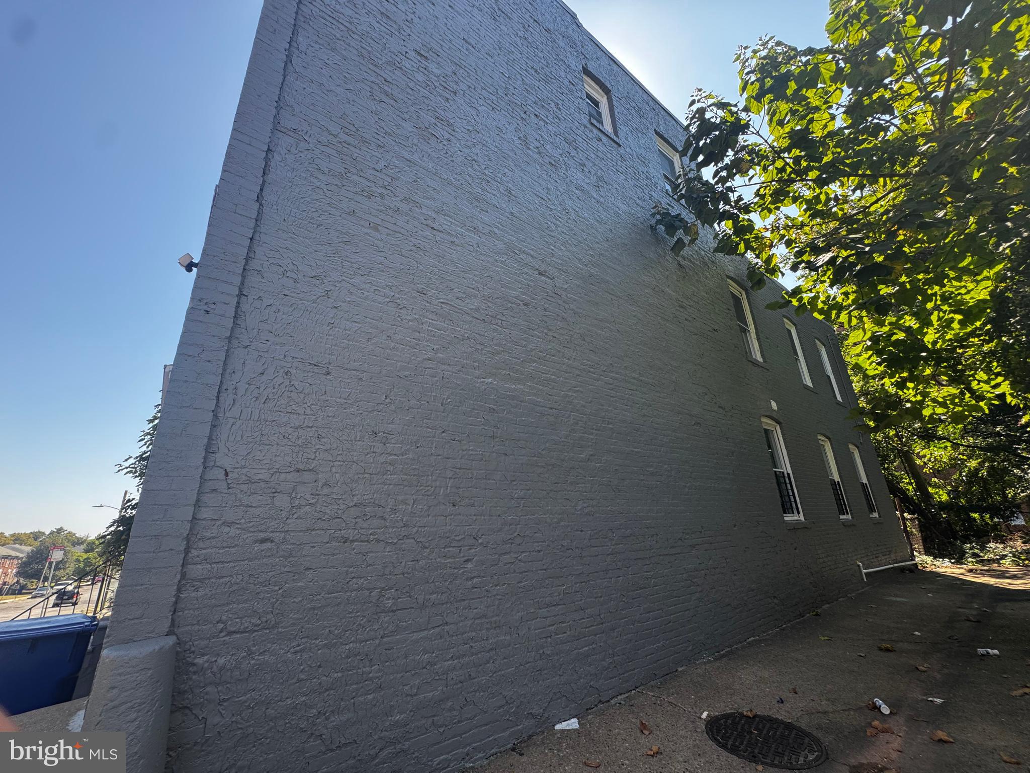 1527 Riggs Avenue Baltimore, MD 21217 - Photo 14 of 16 a close up of a plant