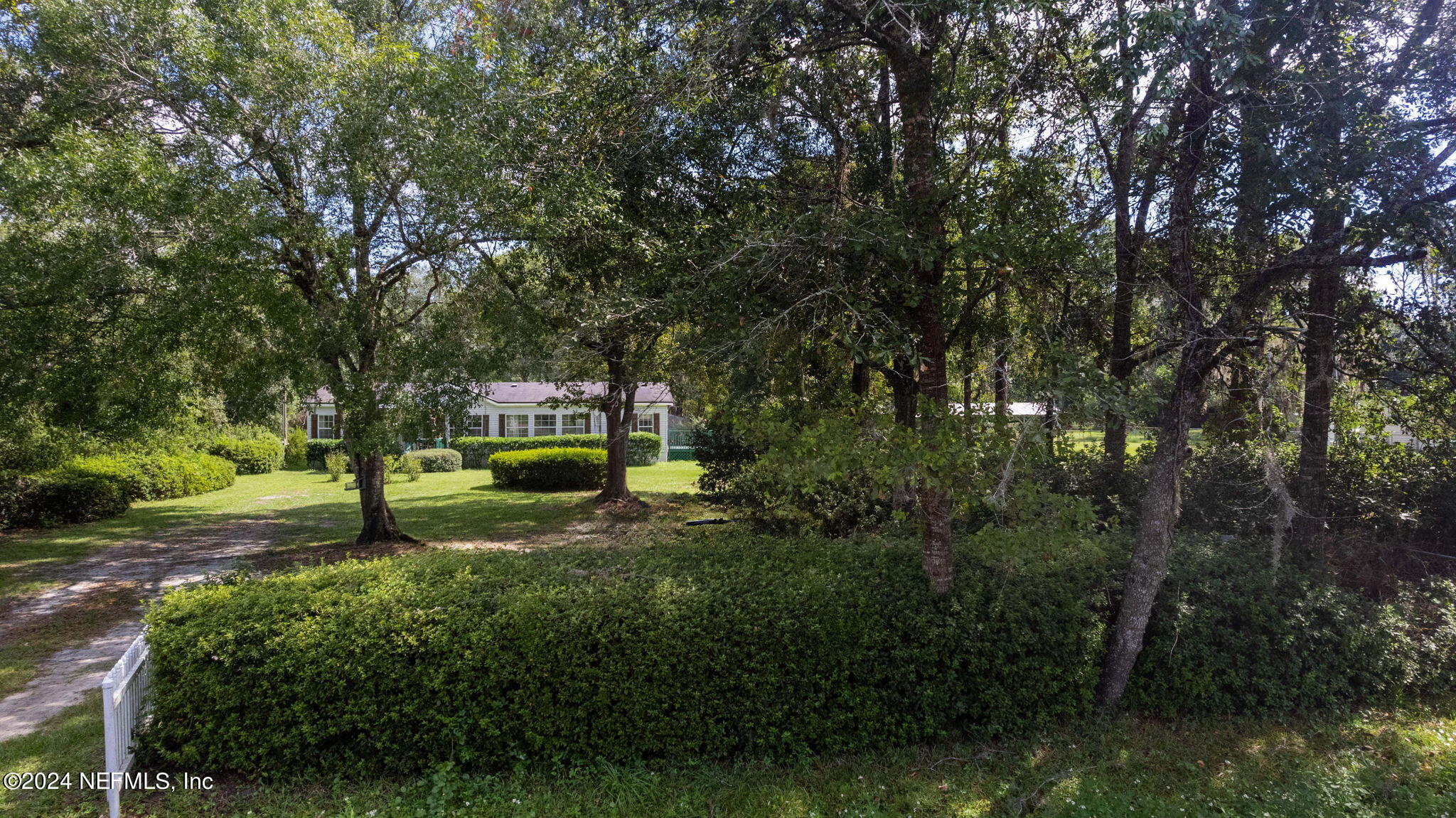 3809 Rancho Road Jacksonville, FL 32221 - Photo 61 of 69 a house in middle of forest