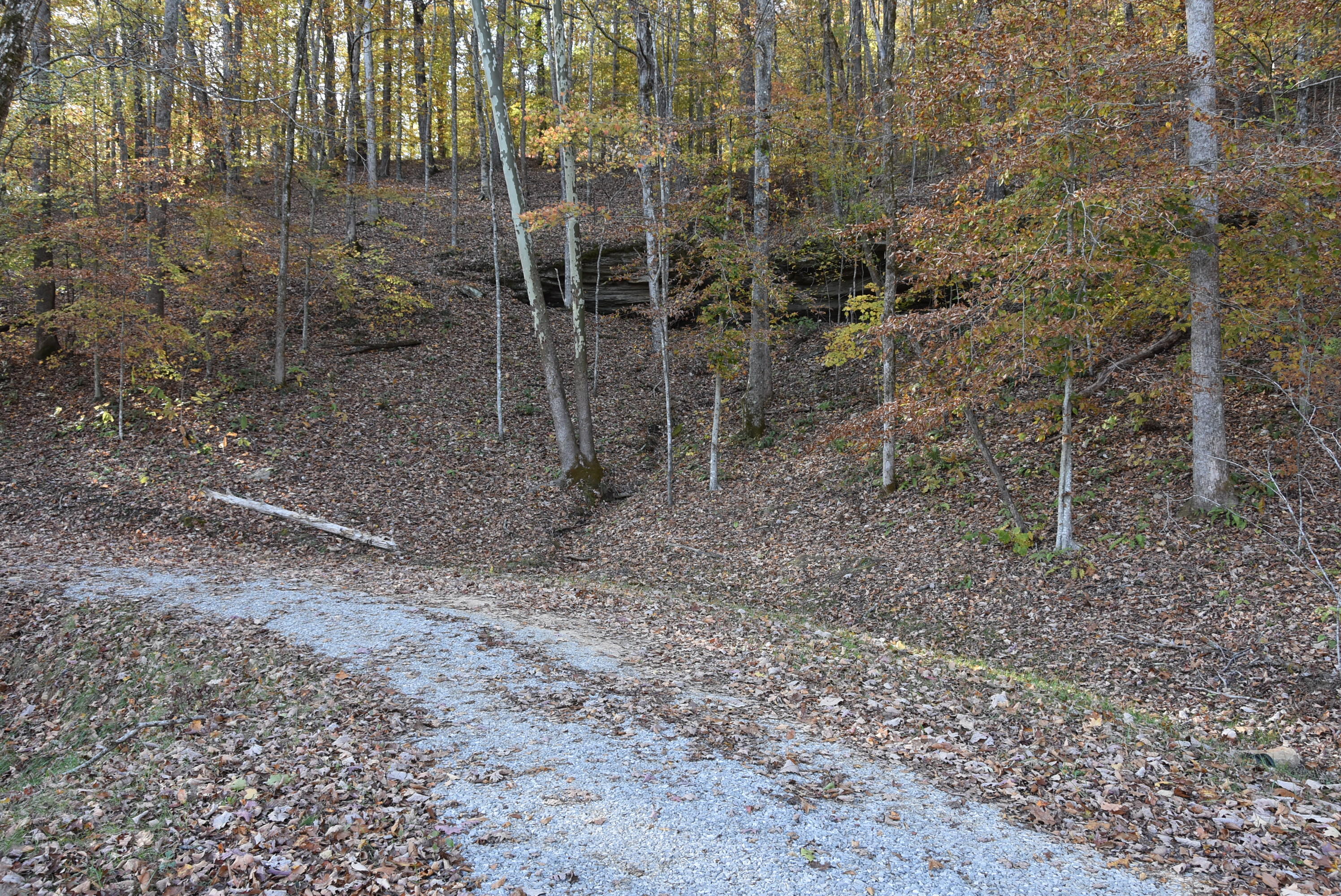 740 Harmon Road Somerset, KY 42501 - Photo 34 of 69 DSC_3242