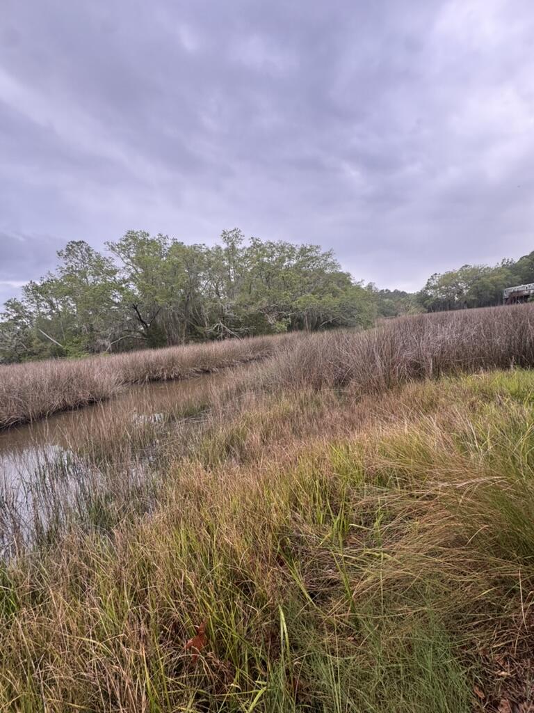 15014 Bennetts Point Road Green Pond, SC 29446 - Photo 28 of 53 BD787D70-EFCA-4176-BD14-91CFCED103A5_1_1