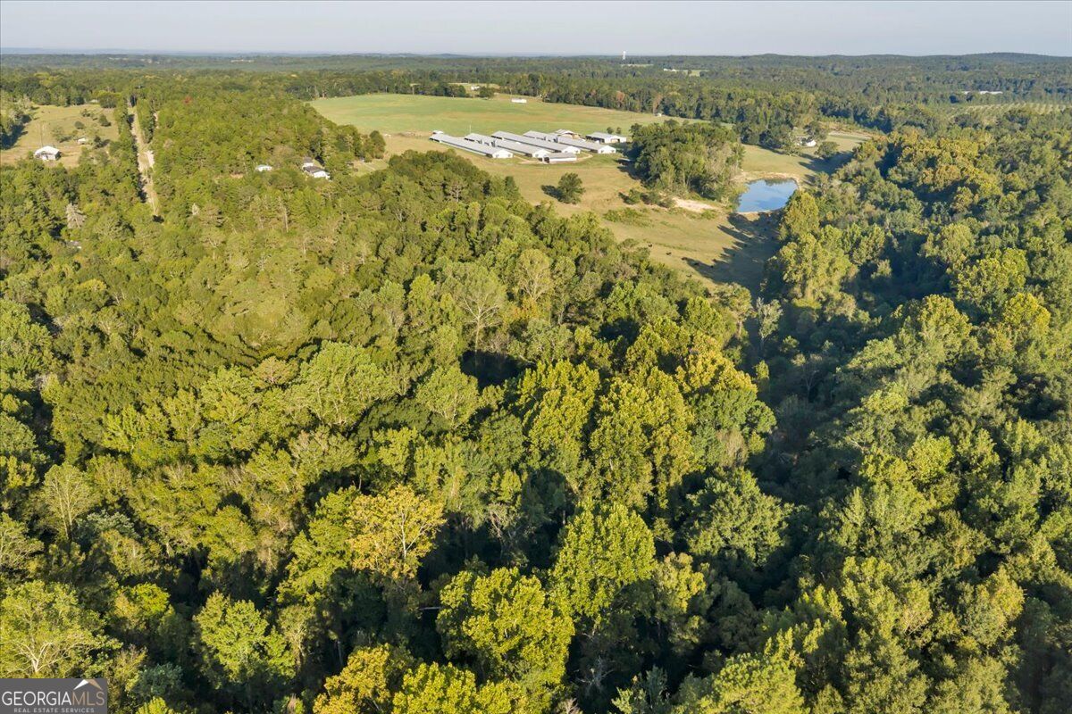 319 Pope Road Roberta, GA 31078 - Photo 48 of 93 Gallery Image 48