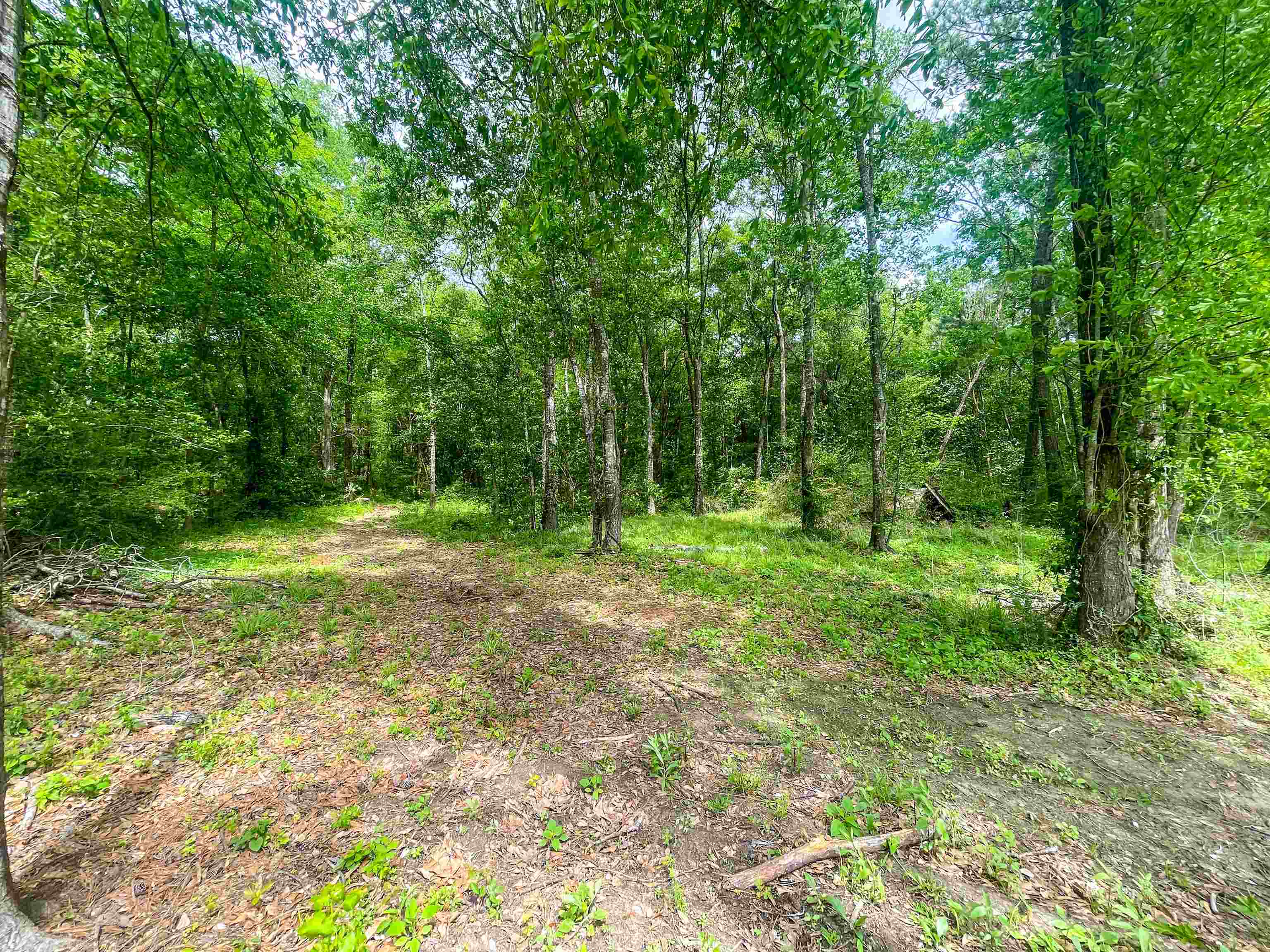 682 Slaughter Street Vidor, TX 77662 - Photo 4 of 10