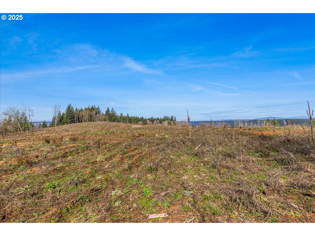 0 Southeast Herrick Road Sandy, OR 97055 - Photo 17 of 35 Gallery Image 17