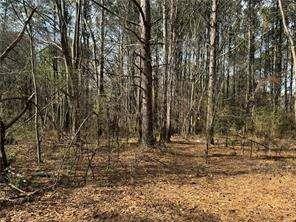 2949 Rosebud Road Loganville, GA 30052 - Photo 12 of 42 a view of large trees with a yard