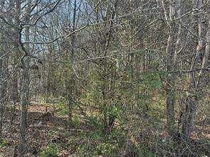 2949 Rosebud Road Loganville, GA 30052 - Photo 13 of 42 a close up of a shower