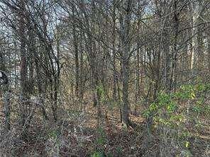 2949 Rosebud Road Loganville, GA 30052 - Photo 14 of 42