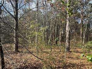 2949 Rosebud Road Loganville, GA 30052 - Photo 20 of 42 a view of a yard