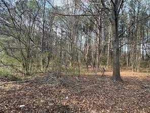 2949 Rosebud Road Loganville, GA 30052 - Photo 21 of 42 a view of a yard
