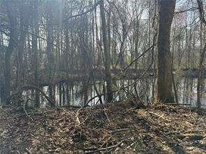 2949 Rosebud Road Loganville, GA 30052 - Photo 22 of 42 a view of outdoor space with lots of trees