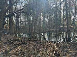 2949 Rosebud Road Loganville, GA 30052 - Photo 23 of 42 a backyard of a house with lots of green space