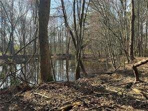 2949 Rosebud Road Loganville, GA 30052 - Photo 25 of 42 a big yard with lots of plants and trees