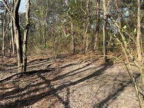 2949 Rosebud Road Loganville, GA 30052 - Photo 26 of 42 a view of a yard with a trees