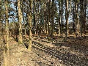 2949 Rosebud Road Loganville, GA 30052 - Photo 27 of 42 a view of a yard with wooden fence