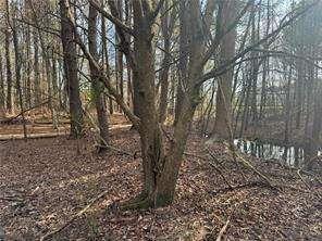 2949 Rosebud Road Loganville, GA 30052 - Photo 29 of 42 a view of a yard with iron fence