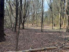 2949 Rosebud Road Loganville, GA 30052 - Photo 30 of 42 a view of a yard with large trees