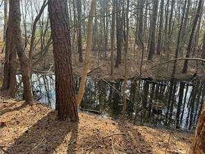 2949 Rosebud Road Loganville, GA 30052 - Photo 31 of 42 a view of a yard with wooden fence