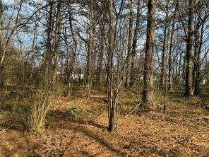 2949 Rosebud Road Loganville, GA 30052 - Photo 33 of 42 a view of a yard