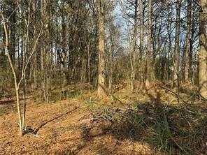 2949 Rosebud Road Loganville, GA 30052 - Photo 34 of 42 a view of wooden wall