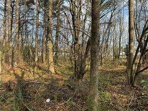 2949 Rosebud Road Loganville, GA 30052 - Photo 35 of 42 a view of electric trees