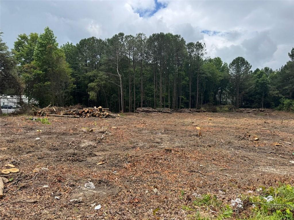 2949 Rosebud Road Loganville, GA 30052 - Photo 38 of 42 a view of a yard with a tree