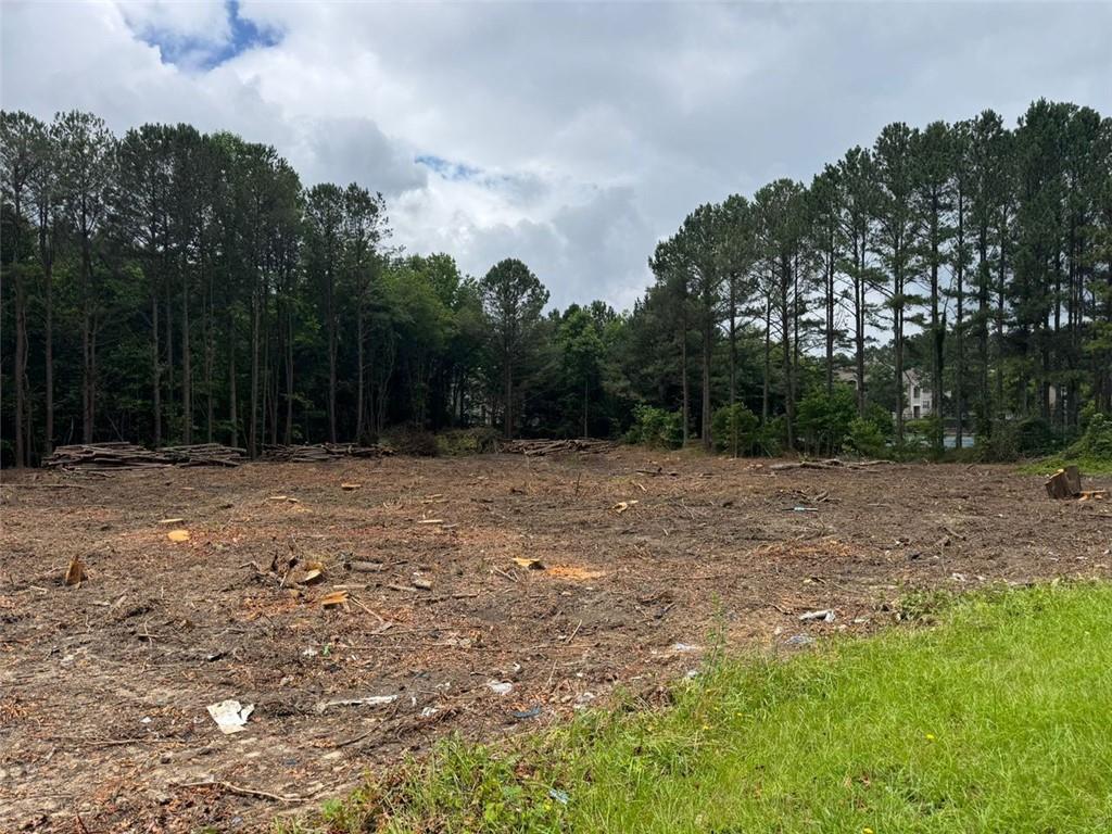 2949 Rosebud Road Loganville, GA 30052 - Photo 39 of 42 a backyard of a house with lots of green space