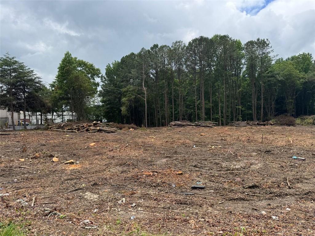 2949 Rosebud Road Loganville, GA 30052 - Photo 40 of 42 a outdoor space with lots of trees