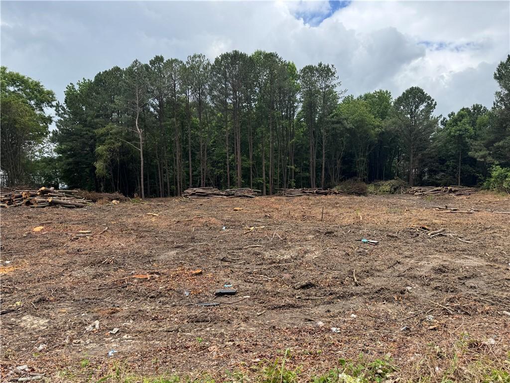 2949 Rosebud Road Loganville, GA 30052 - Photo 42 of 42