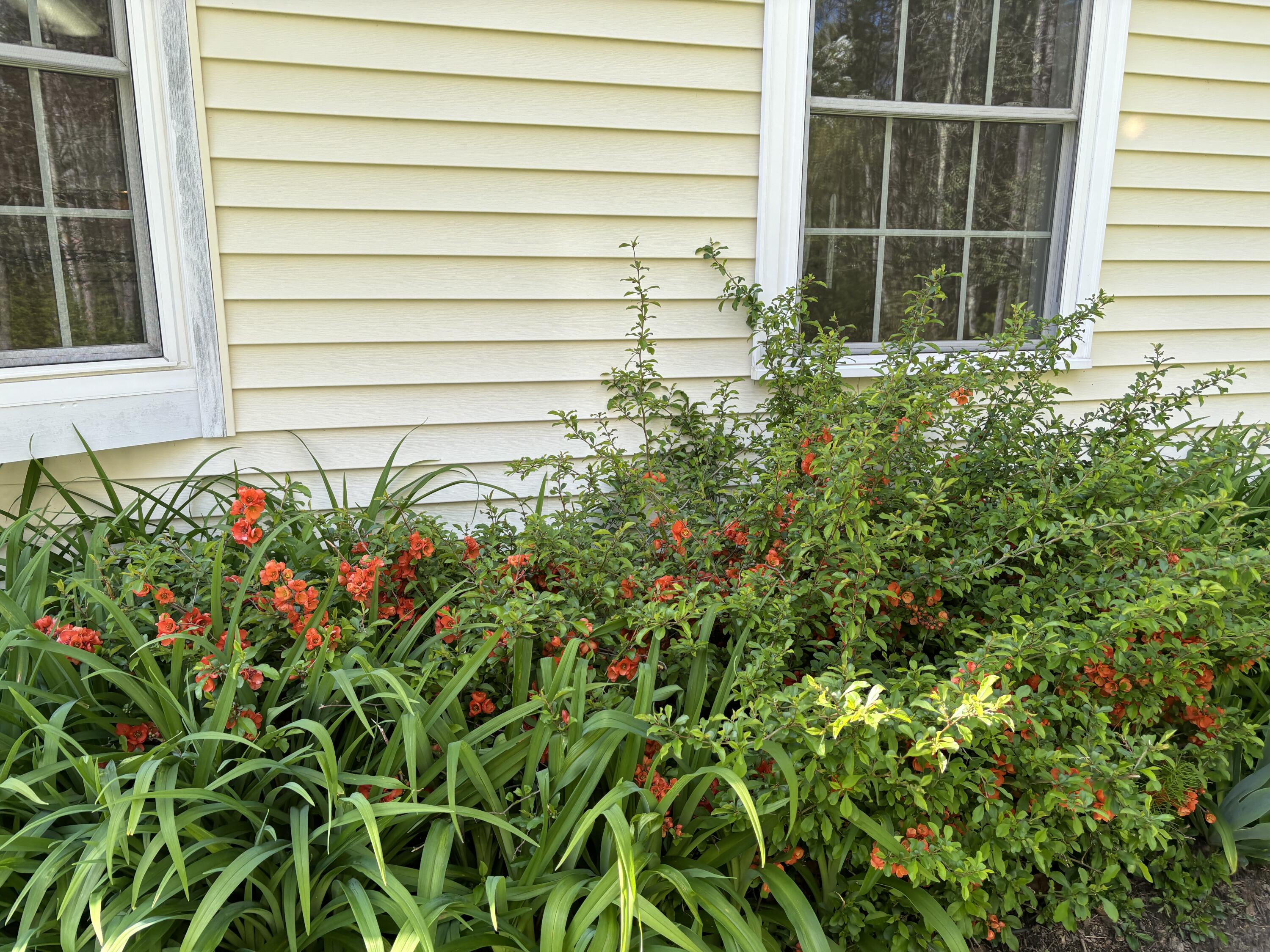 26 Old Nutt Farm Road Rockport, ME 04856 - Photo 5 of 100 IMG_2778