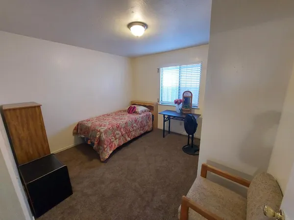 a livingroom with furniture and a potted plant