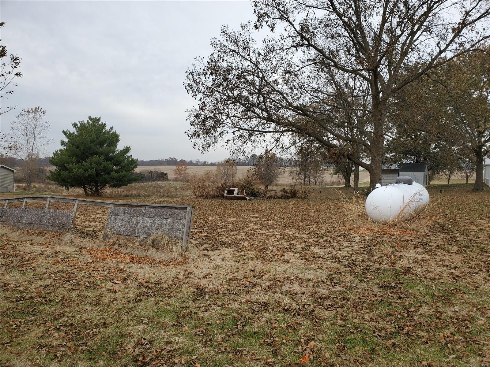 4507 Chester Road Chester, IL 62233 - Photo 32 of 37