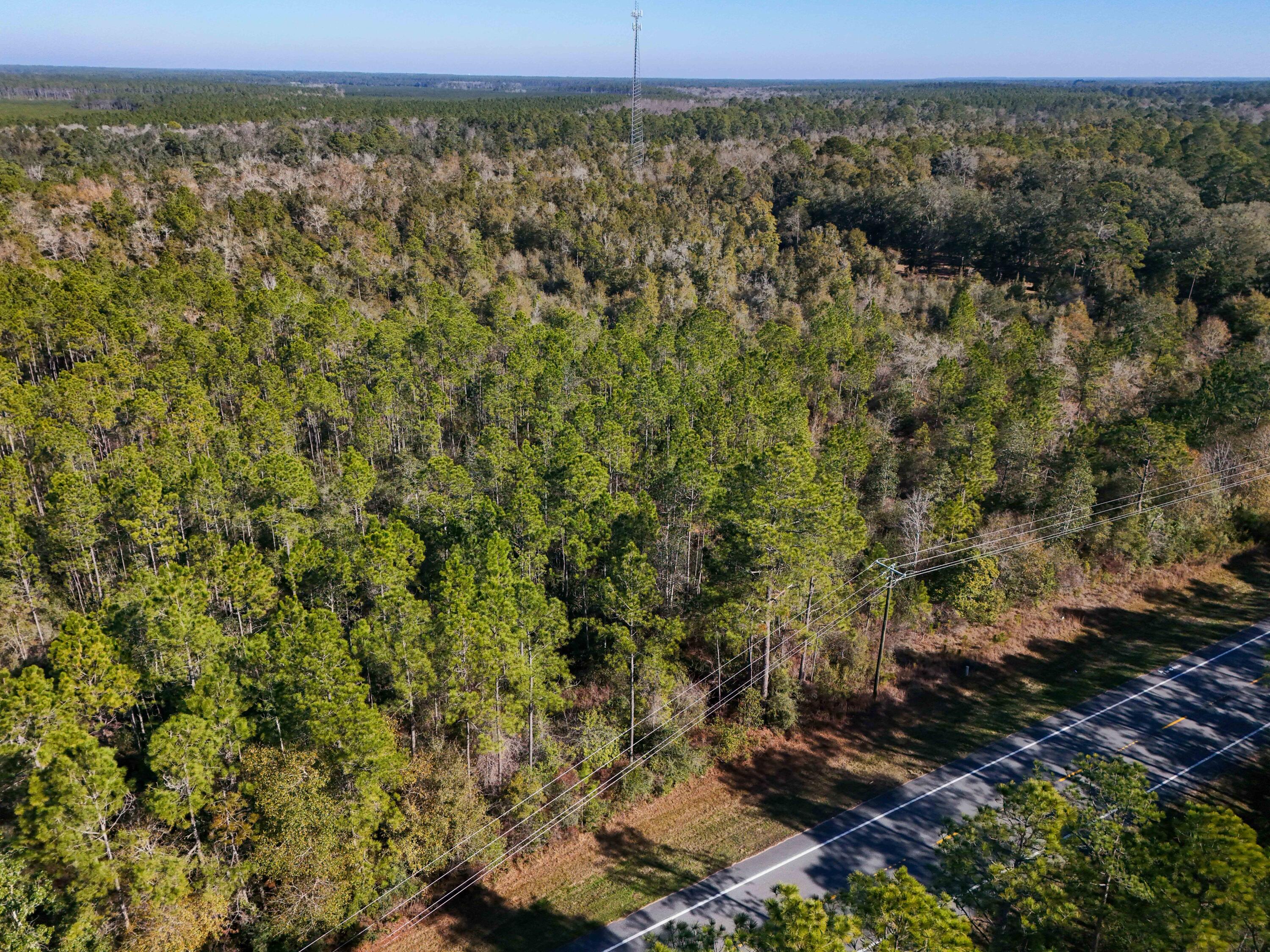5 Highway 20 Freeport, FL 32439 - Photo 16 of 20 a view of a field with an trees