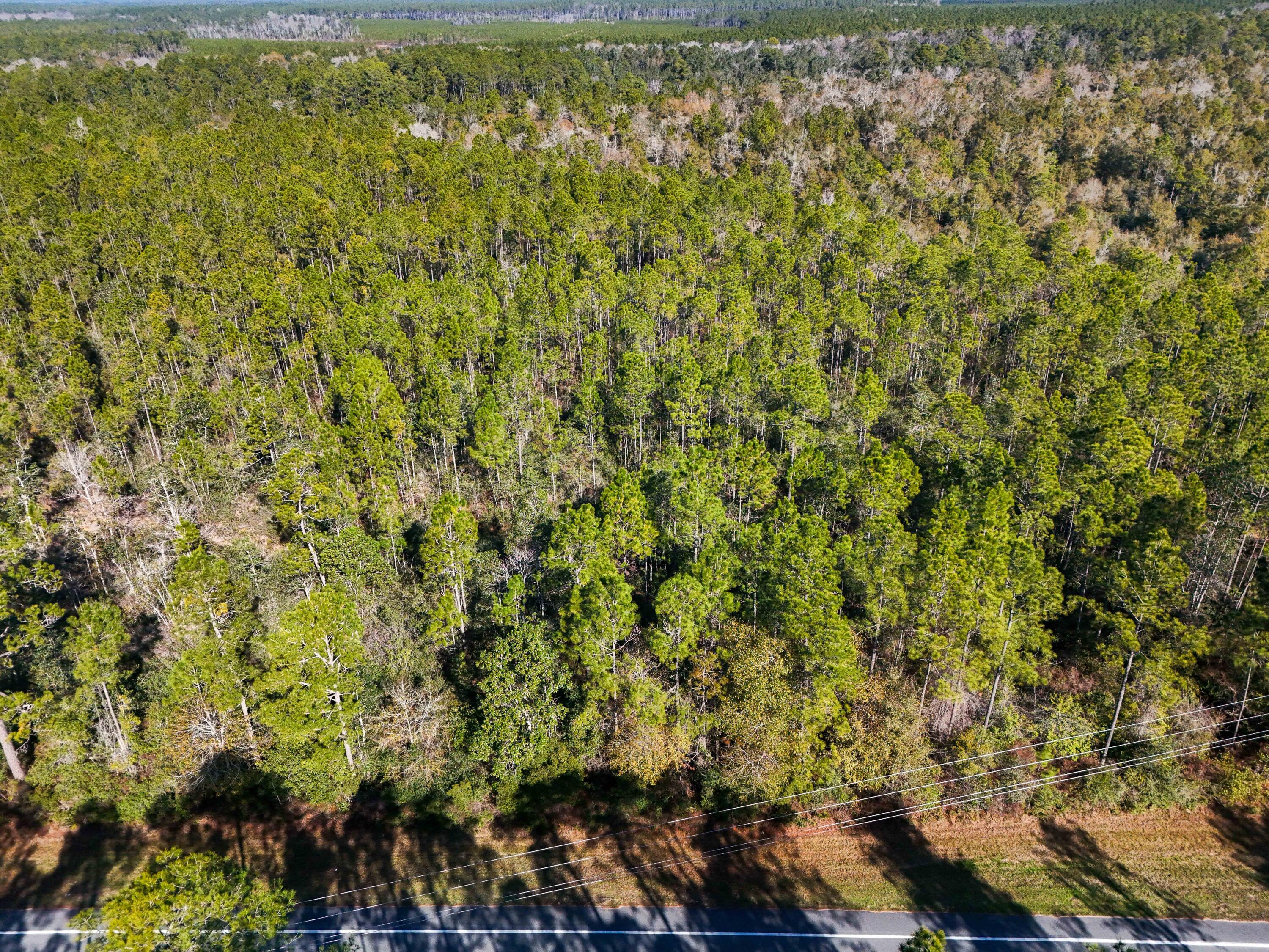 5 Highway 20 Freeport, FL 32439 - Photo 17 of 20 a view of a yard with an outdoor space