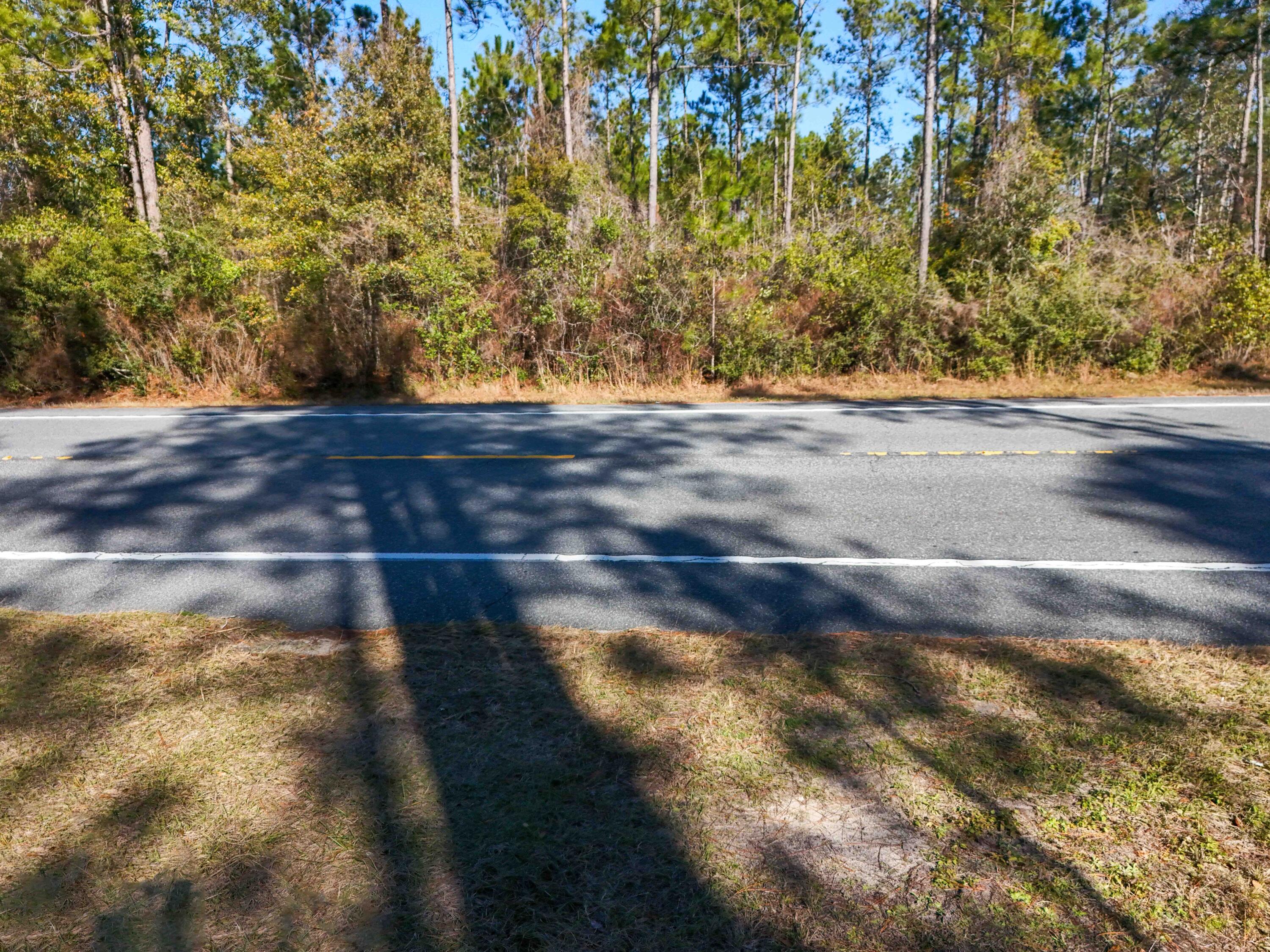 5 Highway 20 Freeport, FL 32439 - Photo 18 of 20 a view of yard