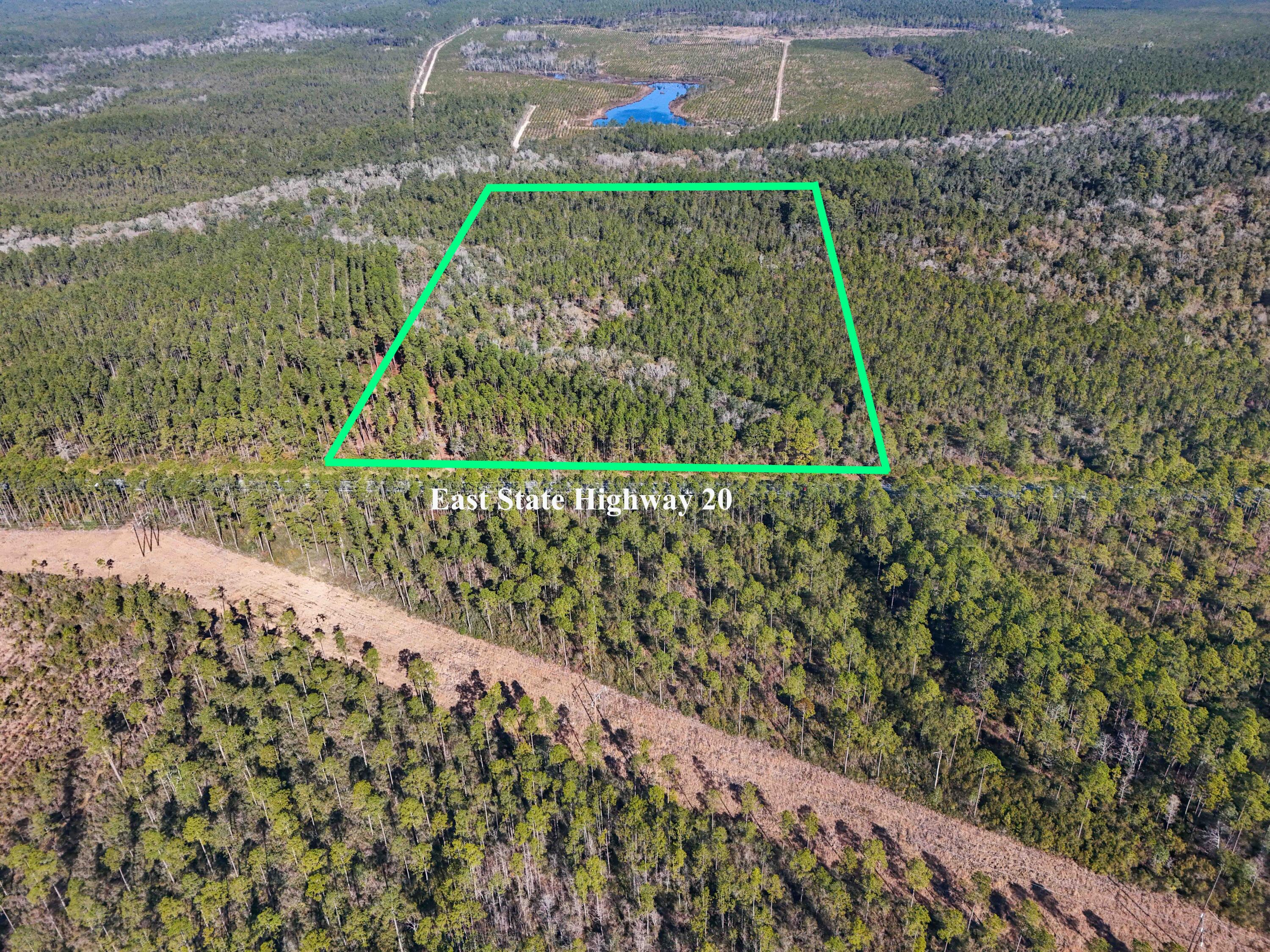 5 Highway 20 Freeport, FL 32439 - Photo 3 of 20 a view of a garden