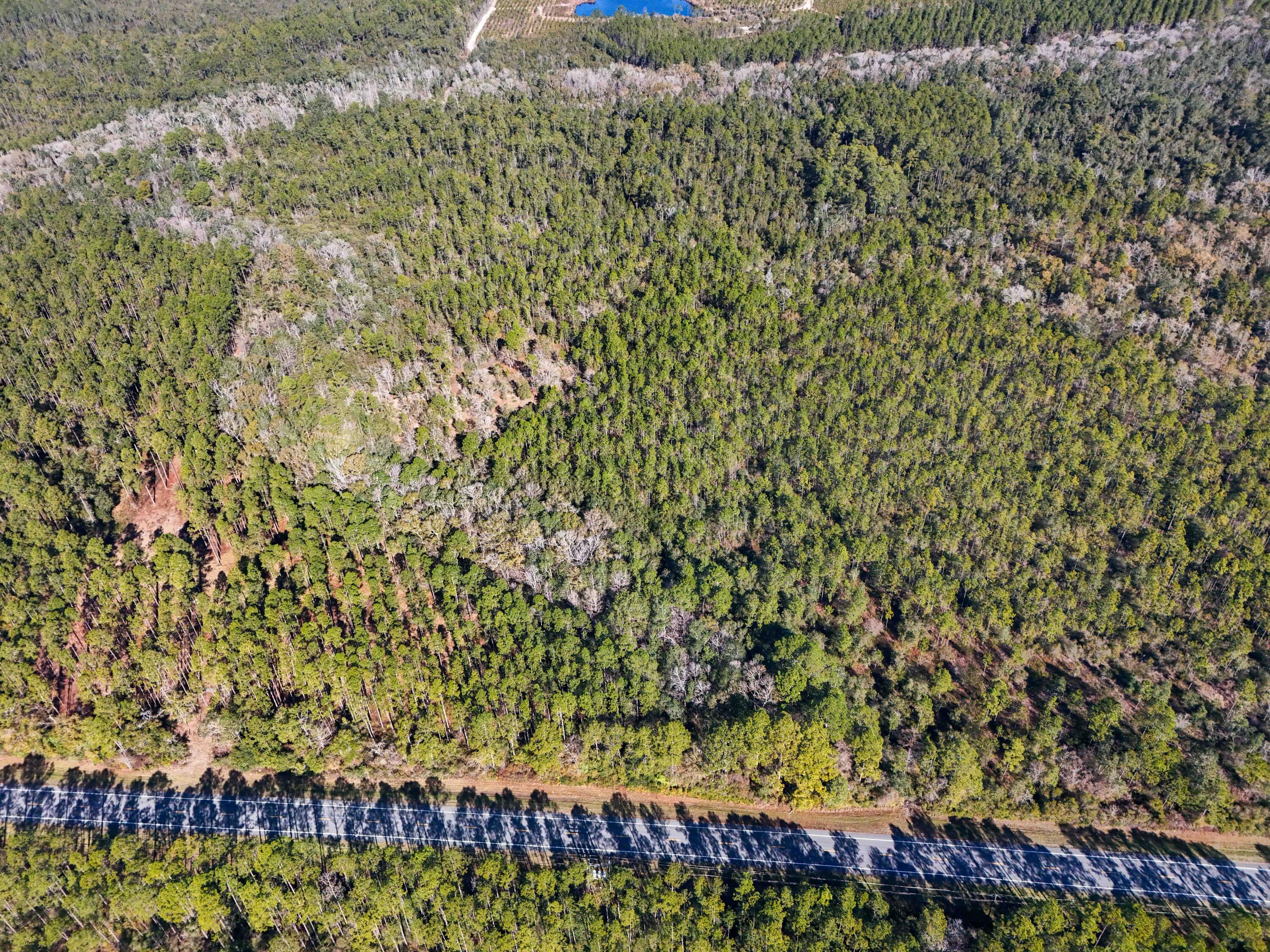 5 Highway 20 Freeport, FL 32439 - Photo 5 of 20 a view of a garden