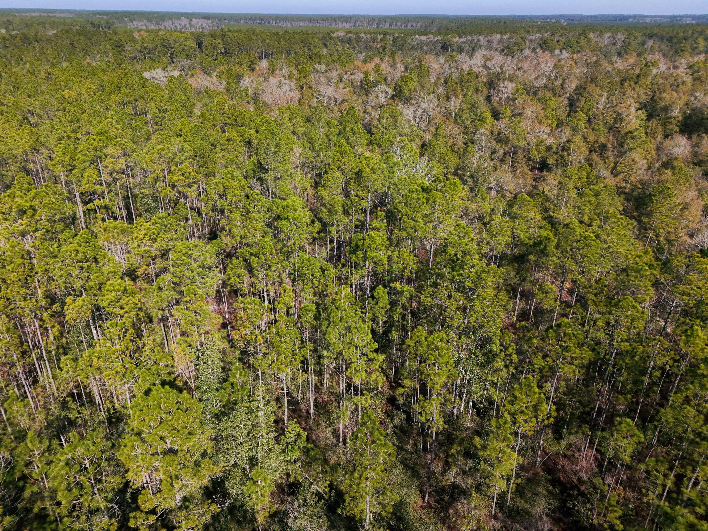 5 Highway 20 Freeport, FL 32439 - Photo 9 of 20