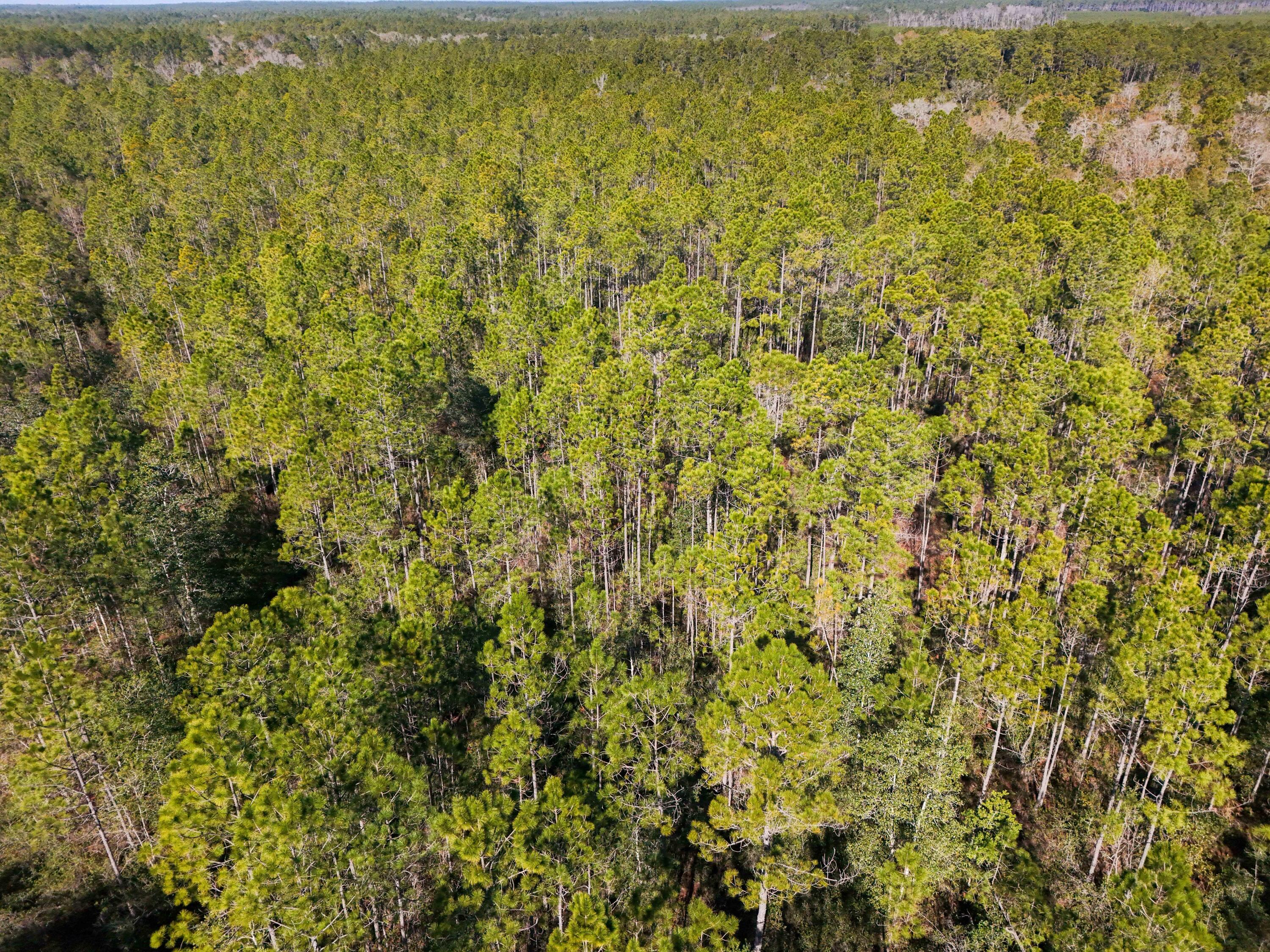 5 Highway 20 Freeport, FL 32439 - Photo 10 of 20 a view of a lake view