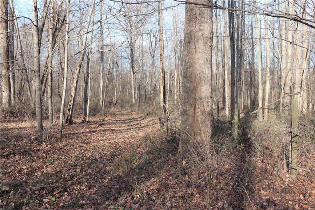 2 Goose Creek Road Freedom, IN 47431 - Photo 12 of 12