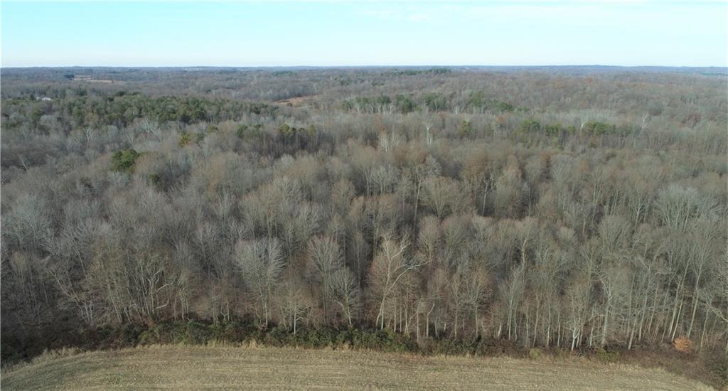 2 Goose Creek Road Freedom, IN 47431 - Photo 5 of 12