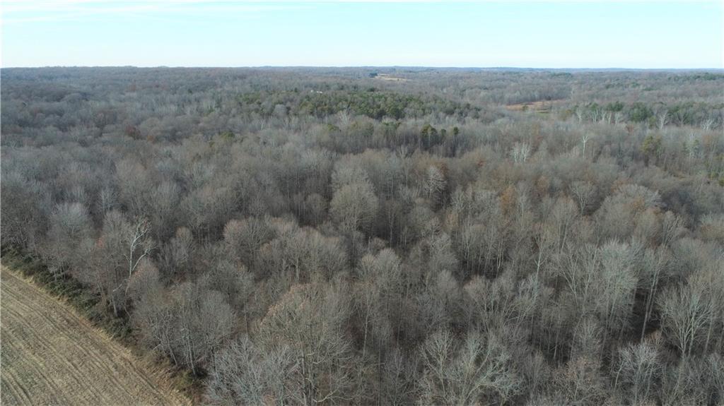 2 Goose Creek Road Freedom, IN 47431 - Photo 6 of 12