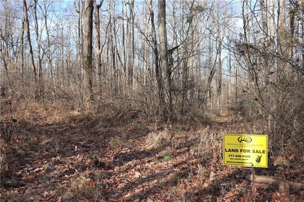 2 Goose Creek Road Freedom, IN 47431 - Photo 7 of 12