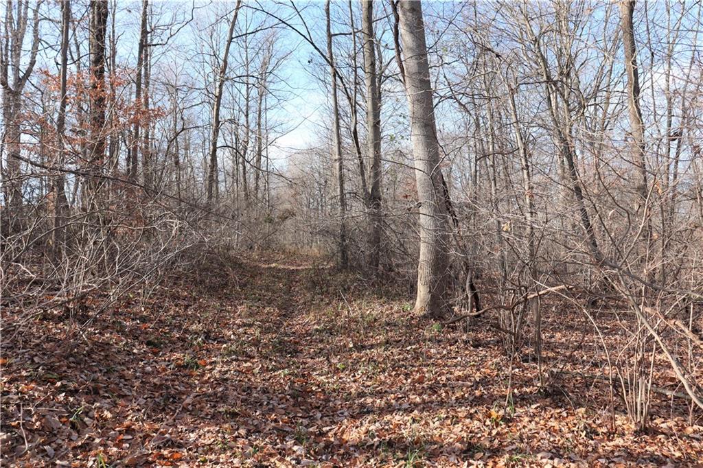 2 Goose Creek Road Freedom, IN 47431 - Photo 8 of 12